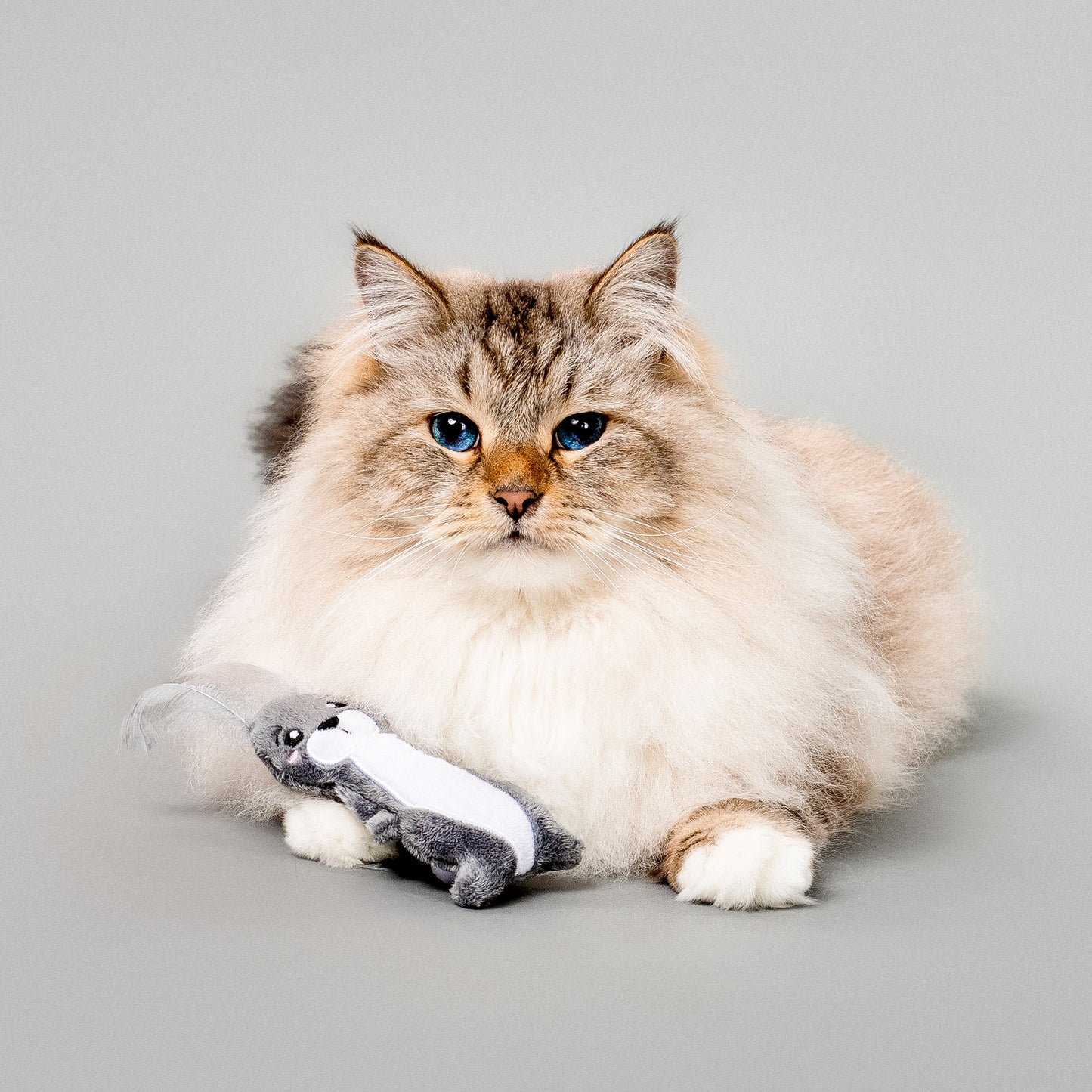Artie the Arctic Hare - Cat Toy