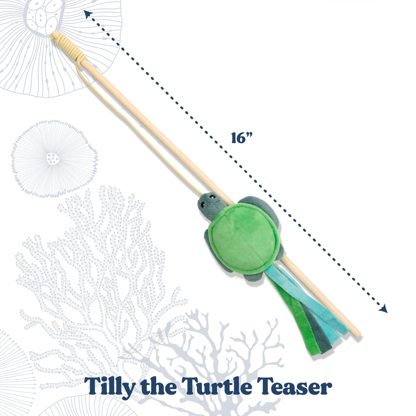 Tilly the Turtle Teaser