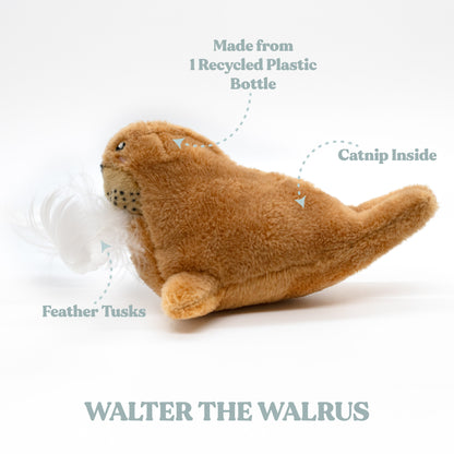 Walter the Walrus - Cat Toy