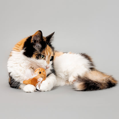Walter the Walrus - Cat Toy