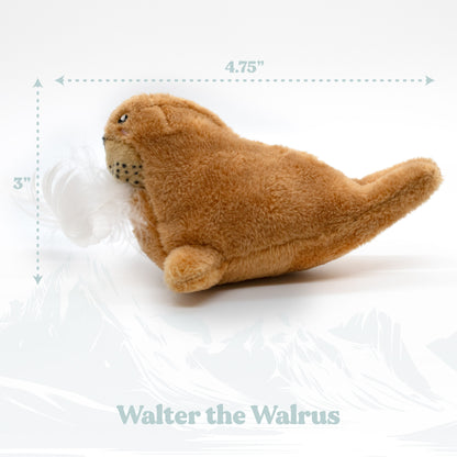 Walter the Walrus - Cat Toy