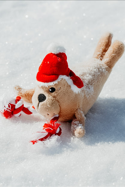 *Limited Edition* Walter